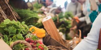 This image depicts people shopping at the Warren Farmers Market in Warren, Ohio. Youngstown Events | June 1-7, 2025 | Metro Monthly | Our guide covers the Youngstown-Warren area, Columbiana County and western Pennsylvania.